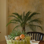 Die gute Nacht im Roten