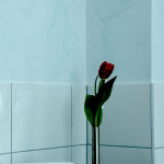 Die gute Nacht im Roten